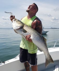 Boston Striper Fishing Charter, Striped Bass